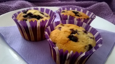 muffini sa borovnicama i kokosom (8)